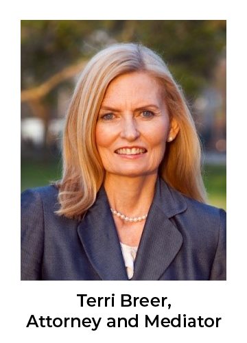 Terri Breer, Attorney, Mediator
