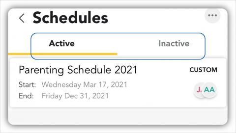 View your parenting schedules