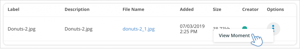 Click to View Entries via MyFiles